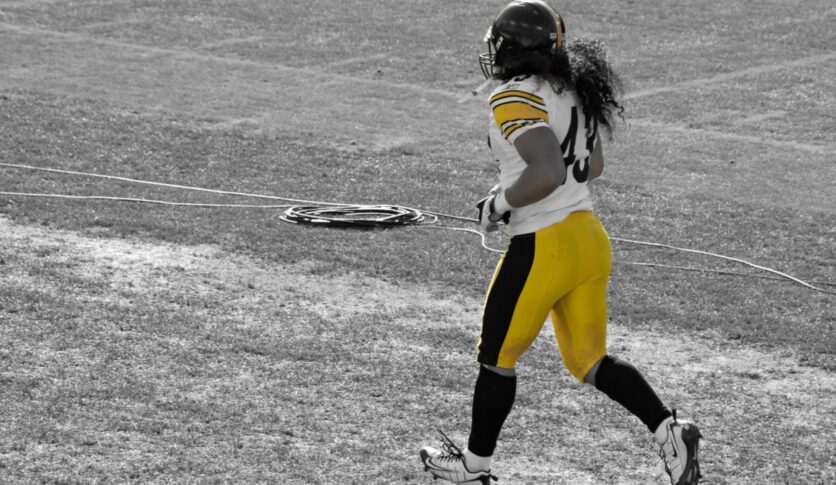 Troy Polamalu